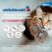 Мильбемакс® Таблетки от гельминтов со вкусом говядины для котят и маленьких кошек – 2 таблетки – интернет-магазин Ле’Муррр