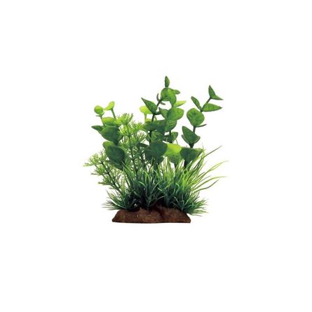 ArtUniq Bacopa mix 12 - Бакопа в миксе растений – интернет-магазин Ле’Муррр