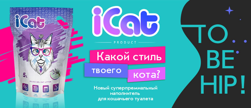 iCat — новый суперпремиальный наполнитель для кошачьего туалета
